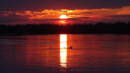 Amazing sunset at a river. Golden hour, pink sunset. Sun reflected on the waterの写真素材