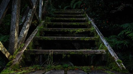 Wooden stairway with mosses in several of its parts. It is surrounded by vegetation in a humid climate. Exterior.の写真素材
