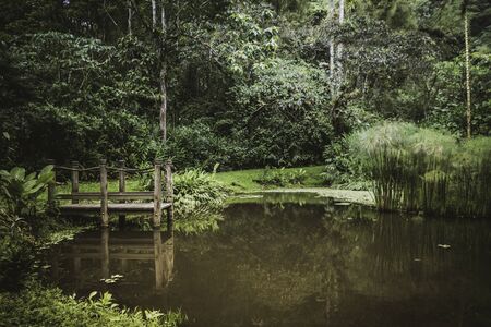lagoon, surrounded by a lot of wild vegetationの写真素材