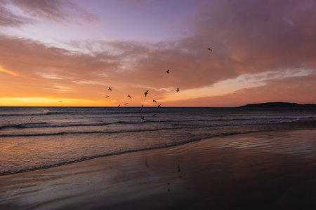 Romantic sunrise with birds flying above the waves.の写真素材