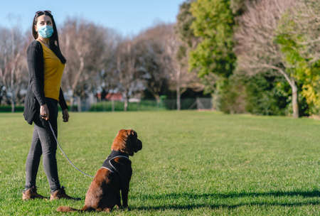 Hispanic brunette woman wearing a face mask going for a walk with his dog at the park.の写真素材