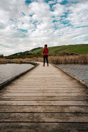 Girl walking on wooden walkway on Peka Peka Wetlands, Hawke's Bay, New Zealand. Vertical photoの写真素材