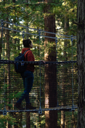 Woman crossing suspension bridge in red wood forest. Vertical photographyの写真素材