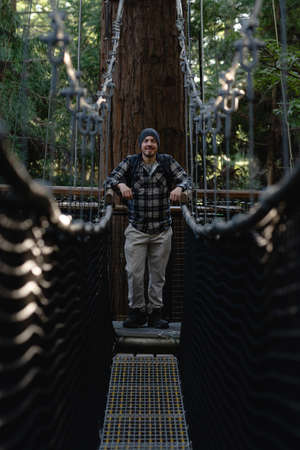 Caucasian man posing in the middle of a hanging tree on a red wood forest. Vertical photographyの写真素材