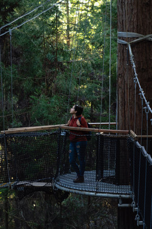 Woman standing on suspension platform on red wood forest. Vertical photographyの写真素材