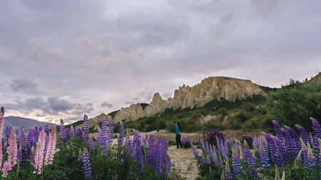 Woman pointing with her finger at Omarama Clay Cliff formations surrounded by lupine. New Zealand landscapeの写真素材