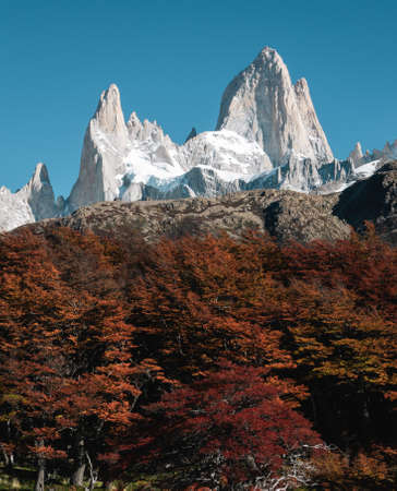 Scenic view of Mount Fitz Roy in autumn. Patagonia, Argentina. Vertical photographyの写真素材
