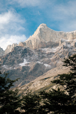 Rocky mountain peak in the wild forest on a sunny day. Torres del Paine, Patagonia, Argentinaの写真素材