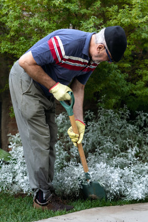 Senior man doing some gardening digging his garden with a shovel. Enjoyment and vitality in the old...