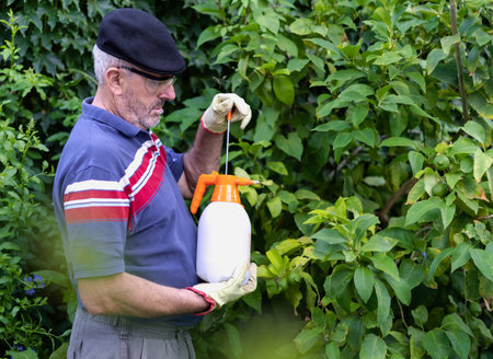 Senior man with protective gear while using garden sprayer with insecticide fertilizer for his plantsの写真素材
