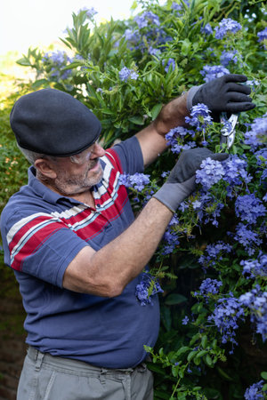 Mature adult man doing greenery maintenance in his garden. portrait photographyの写真素材