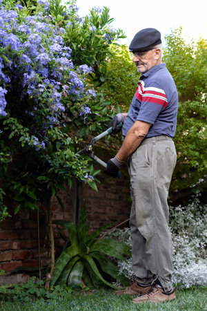 Mature man with beret wearing protective gear while pruning his backyard garden. portrait photographyの写真素材