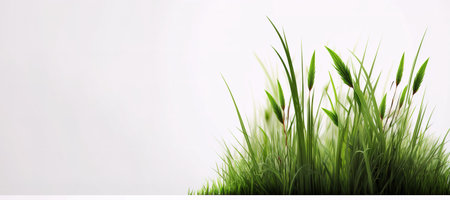 Banner on white background with green grass. Copy space for text. Generative AI illustrationの素材