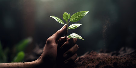 Close up shot to hand planting small tree on fertile soil. Environmental and ecological conservation concept. Generative AIの素材