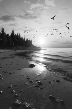 Black and white sunrise at the beach with birds flying. Generative AIの素材