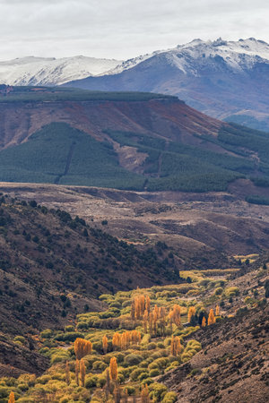 Scenic view of a valley and mountains with autumn trees under a cloudy sky. Alumine, Neuquen, Argentinaの写真素材