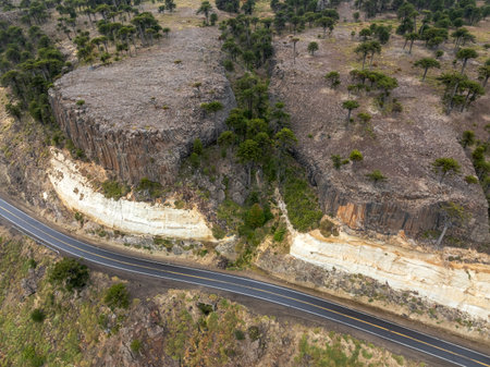 Aerial view of road winds through a landscape of layered rock formations and scattered Araucaria treesの写真素材