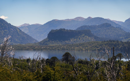 Serene Lake Ãorquinco with forested hills and mountains under a clear blue sky. Araucaria trees dot the landscape in Patagonia. Neuquen, Argentinaの写真素材