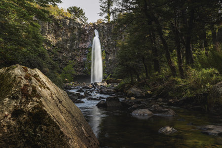 Coloco waterfall surrounded by lush vegetation and Araucaria Araucana trees plunges from a rocky cliff under a bright Patagonian skyの写真素材
