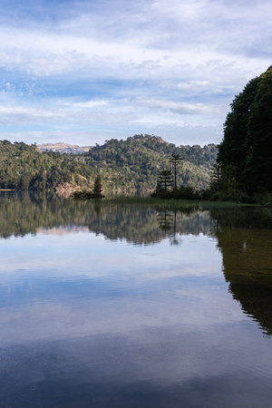 Calm lake reflecting the sky and the forested shoreline with distinctive Araucaria trees in Patagonia. Lake Matetuwe, Villa Pehuenia, Neuquen, Argentinaの写真素材