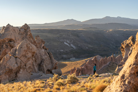 Woman on a golden hillside, gazing at distant mountains in Los Bolillos, Neuquen, Argentinaの写真素材