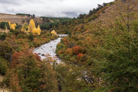 Scenic view of river flows through a valley with autumn foliage, under a cloudy sky in Patagonia.の写真素材