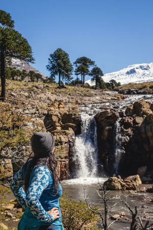 Woman stands looking at waterfall cascading over rocks with Araucaria trees and snow-capped mountains in the background. Caviahue, Neuquen, Argentinaの写真素材