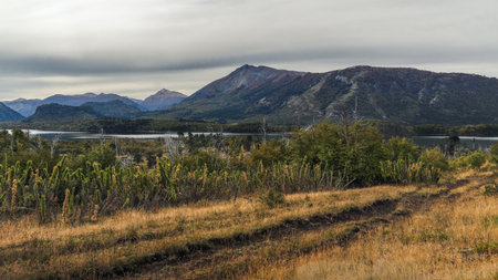 Tranquil scene with lake and distant mountains under a cloudy Patagonian sky. Lanin National Park, Neuquen, Patagonia Argentinaの写真素材