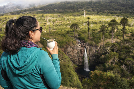 Brunette woman in sunglasses sips matte, overlooking Cascada Coloco waterfall surrounded by Araucaria trees forest. Neuquen, Patagonia Argentinaの写真素材
