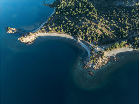 Aerial top view shows the shoreline of a deep blue lake meeting sandy beaches and tree-covered land in Patagoniaの写真素材