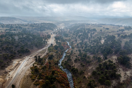 Winding river and road meander through a hilly landscape dotted with Araucaria trees under a cloudy stormy sky. Neuquen, Argentinaの写真素材