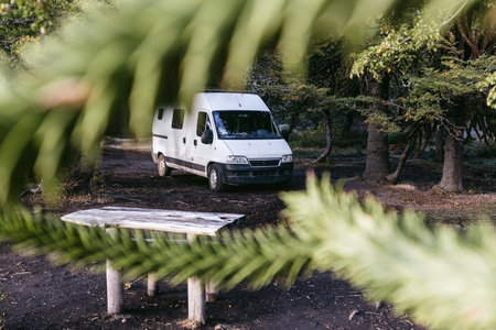White camper van parked in a forest clearing amongst Araucaria trees, with a wooden picnic table in the foregroundの写真素材