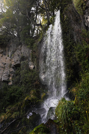 Cascada Guman Mapu waterfall plunges over moss-covered rocks, surrounded by lush vegetation in Lanin National Park. Neuquen, Patagonia, Argentinaの写真素材