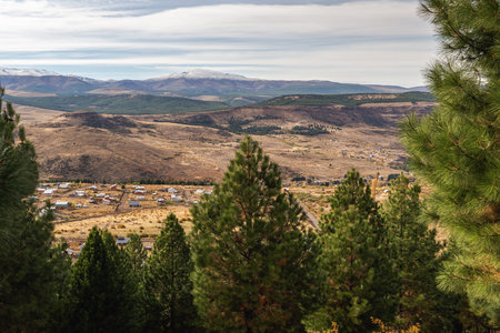 Scenic view of a valley and mountains with a small town in the distance, framed by pine trees....