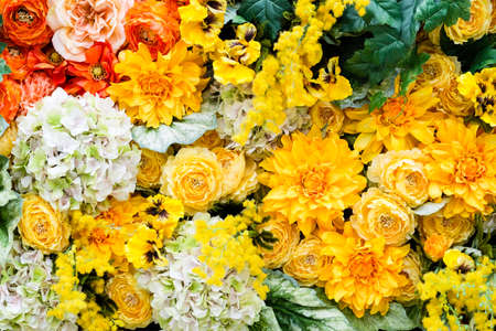Flower background
