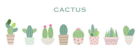 Set of cactus, vector illustration