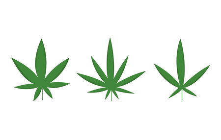 Set of marijuana cannabis leaves in flat style concept. Green medical cannabis icons set.のイラスト素材