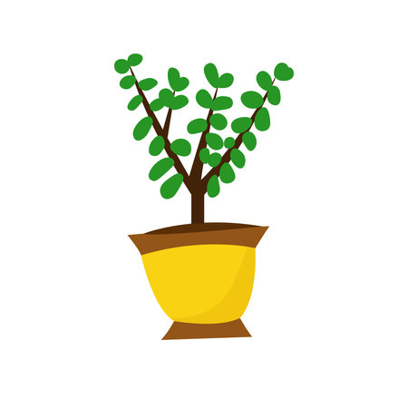 Garden or apartment green plant for interior in a vase. Yellow decoration pot for house flowers.のイラスト素材