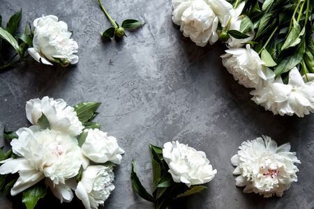 Beautiful peonies on grey concrete background. Wedding, birthday, valentine's day, gift or women's day conceptの写真素材
