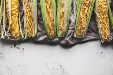 Raw Corns Freshly Picked with Green Cornhusk on Rustic Table Vintage Background Top Viewの写真素材