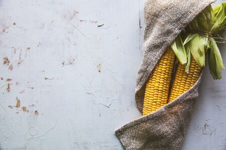 Raw Corns Freshly Picked with Green Cornhusk on Rustic Table Vintage Background Top Viewの写真素材