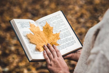 Autumn concept, an open book in the hands of a girl with yellow leaves