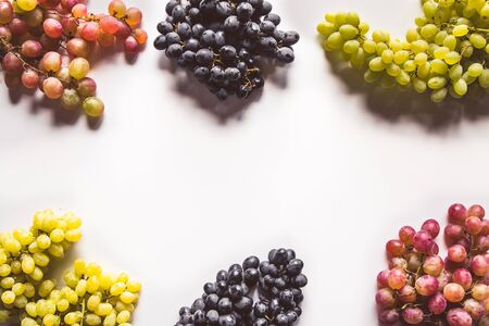 Collections of Ripe grapes with leaves isolated on whiteの写真素材