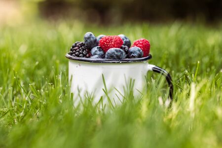 Summer berry fruits in green grass background.の写真素材