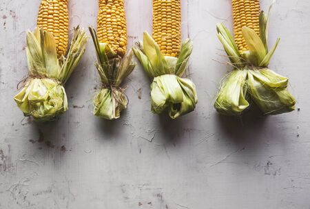 Raw Corns Freshly Picked with Green Cornhusk on Rustic Table Vintage Background Top Viewの写真素材