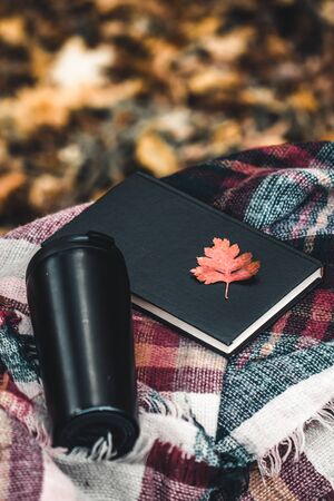 Autumn scene. Coffee cup and booksの写真素材