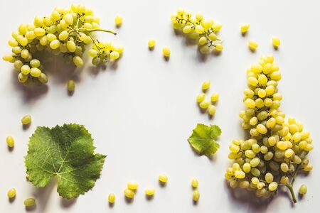 Green grape bunch isolated on white backgroundの写真素材