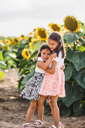 Little girls among of a sunflower among a field of sunflowers in the evening. Summer concept, season of the year. Close-up.の写真素材