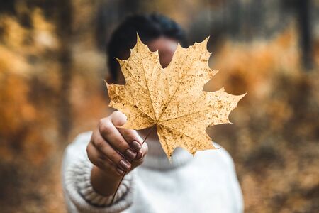 Woman covers her face with dry yellow leaf in autumn forest