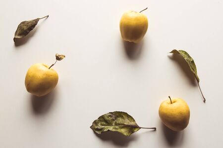 Yellow apples on a white background with old leaves, wholesome food, farming, vegetarianism